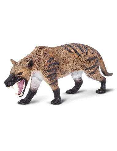 Hyaenodon