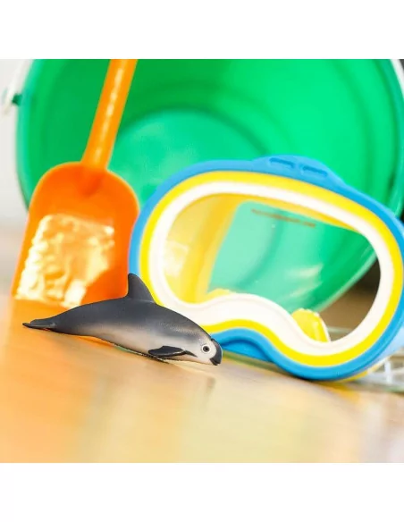 Morświn kalifornijski