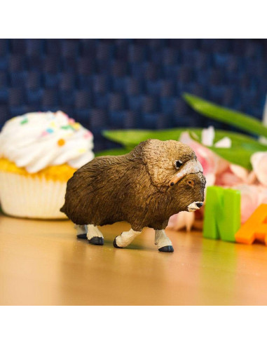 Piżmowół arktyczny