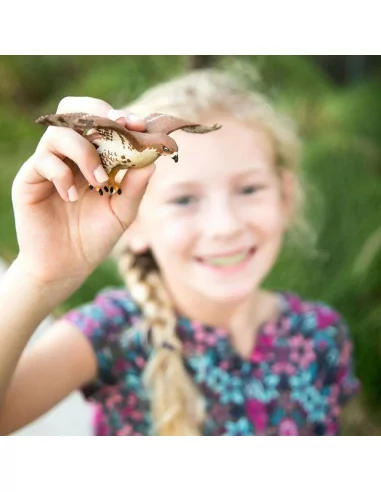 Myszołów Rdzawosterny