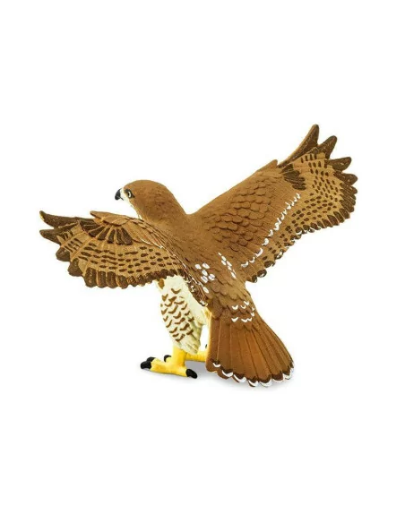 Myszołów Rdzawosterny