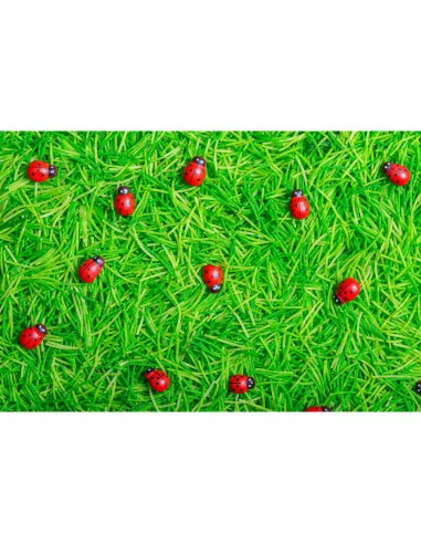 Sensoryczna butelka dźwiekowa - Biedronka