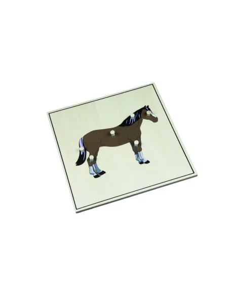 Puzzle ze zwierzętami - Szkielet konia