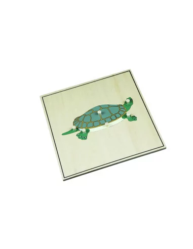 Puzzle ze zwierzętami - Szkielet żółwia