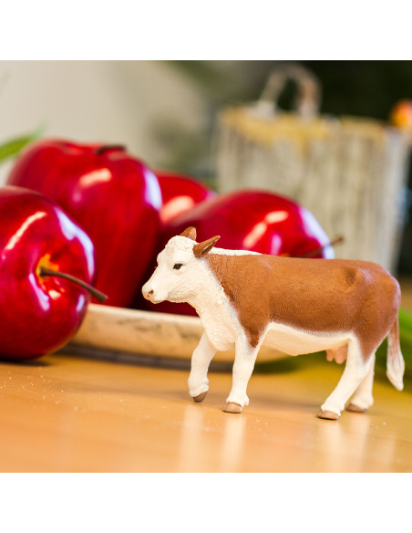 Krowa rasy Hereford