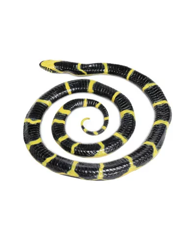 Lancetogłów królewski