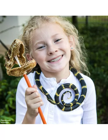 Lancetogłów królewski