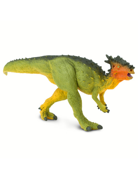 Dracorex