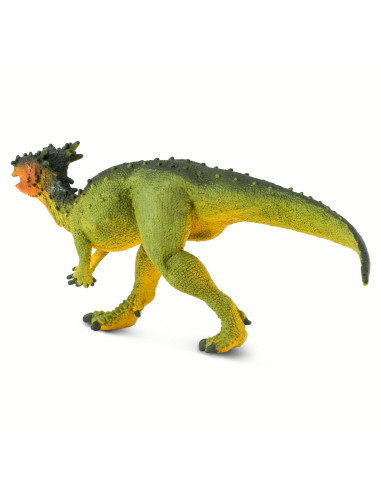 Dracorex