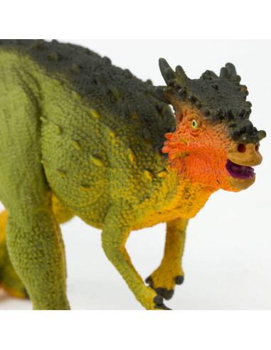 Dracorex