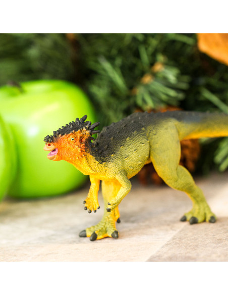 Dracorex