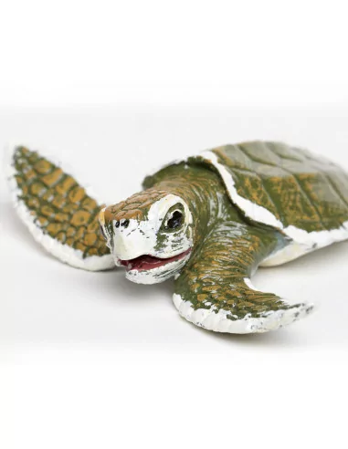 Młode żółwia zatokowego