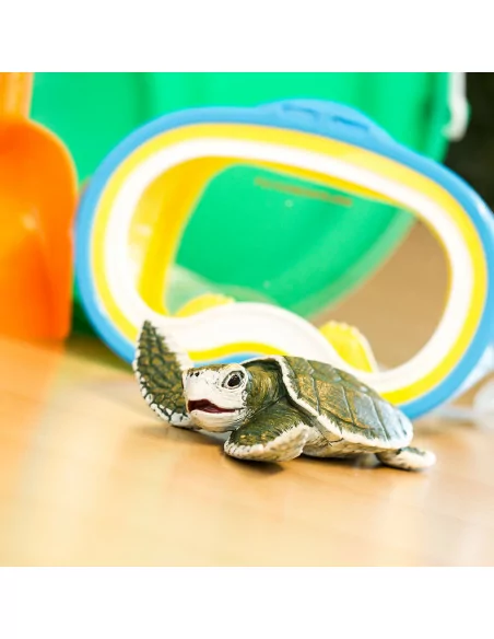 Młode żółwia zatokowego