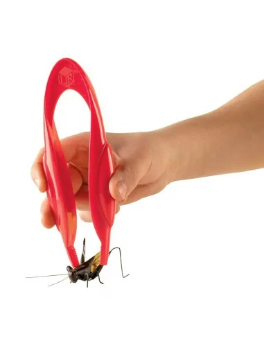 Kolorowe pęsety, 12 sztuk