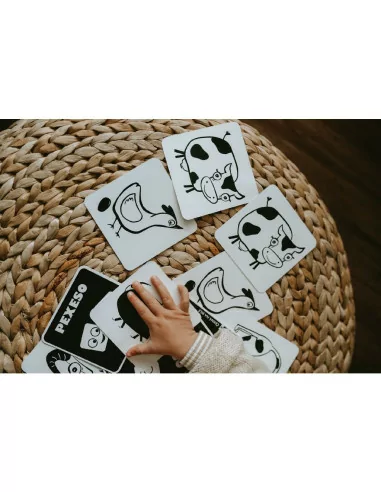 Kontrastowe memo - karty farma