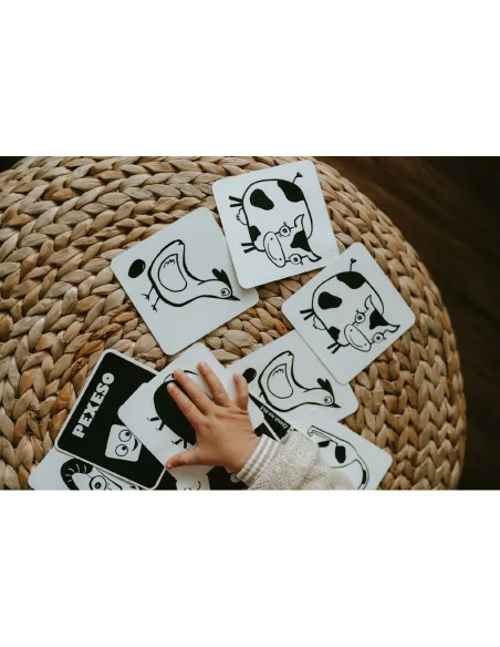 Kontrastowe memo - karty farma