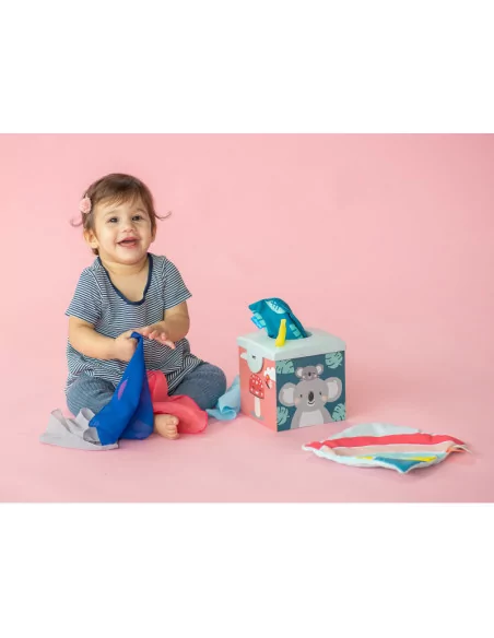 Boks z chusteczkami, Koala