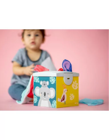 Boks z chusteczkami, Koala