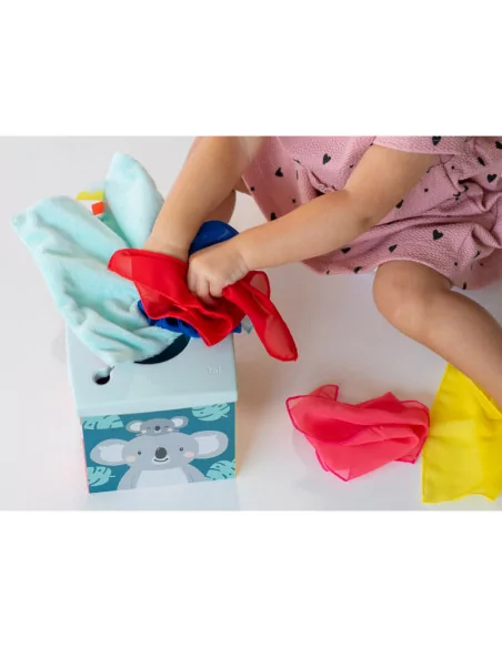 Boks z chusteczkami, Koala