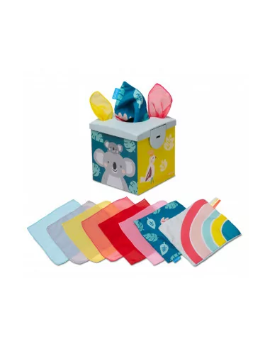 Boks z chusteczkami, Koala