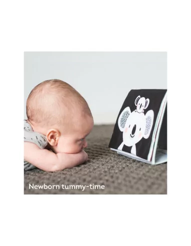 Knížka pro hru na bříšku, koala