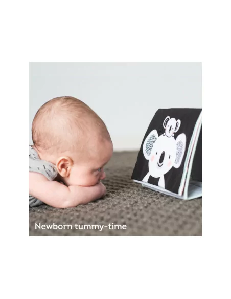 Knížka pro hru na bříšku, koala