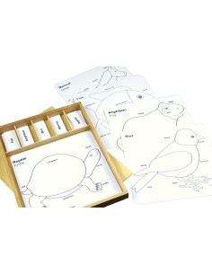Zestaw działań do Puzzle zoologiczne (ANJ)