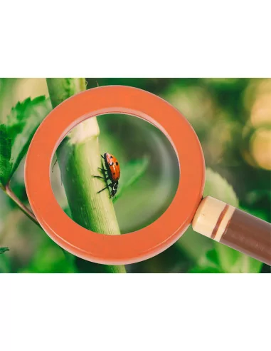 Pas dla małego badacza przyrody