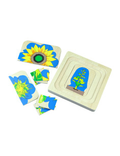 Cykl życia kwiatów