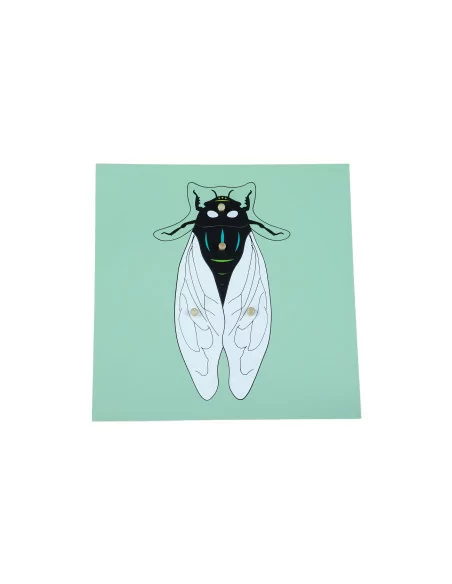 Puzzle ze zwierzętami - Mucha