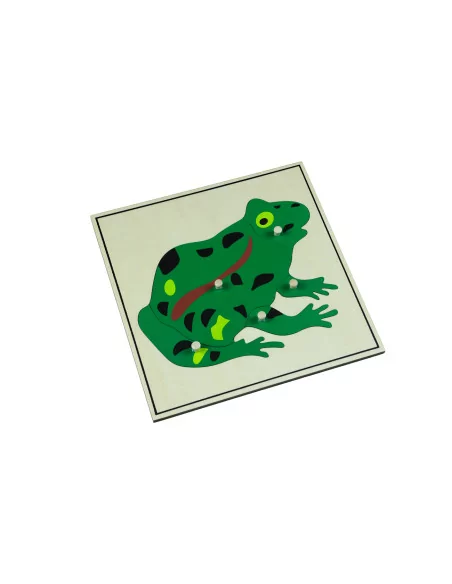 Puzzle ze zwierzętami - żaba