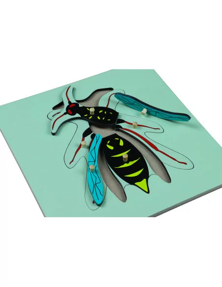 Puzzle ze zwierzętami - Osa