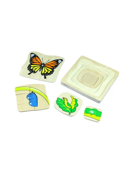 Cykl życia motyla - puzzle warstwowe