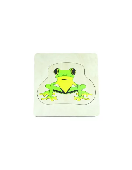 Cykl życia żaby - puzzle warstwowe