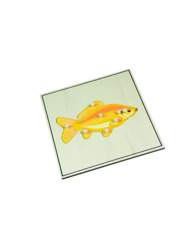 Puzzle ze zwierzętami - Szkielet ryby