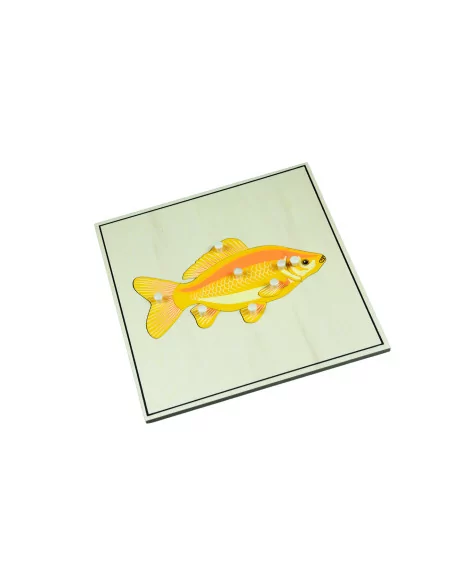 Puzzle ze zwierzętami - Szkielet ryby