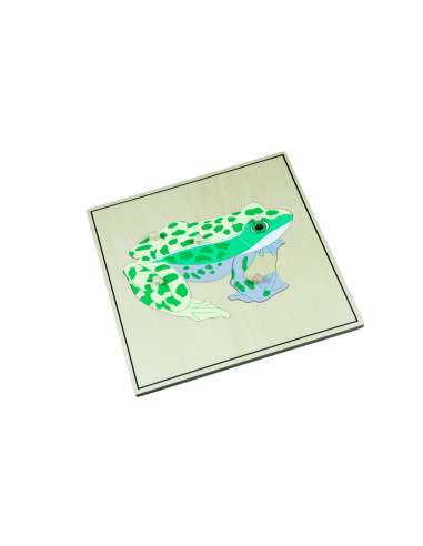 Puzzle ze zwierzętami - Szkielet żaby