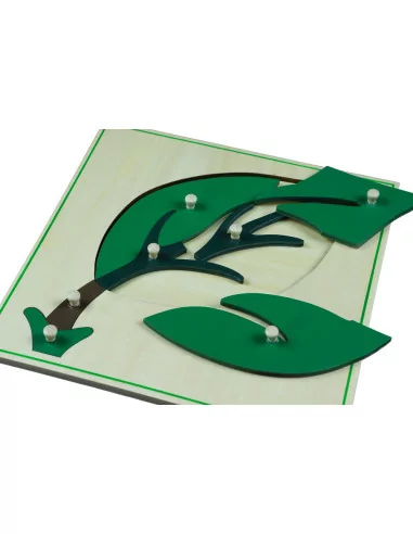 Puzzle botaniczne - liść