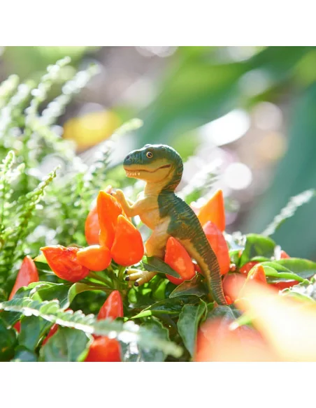 Tyrannosaurus Rex Baby