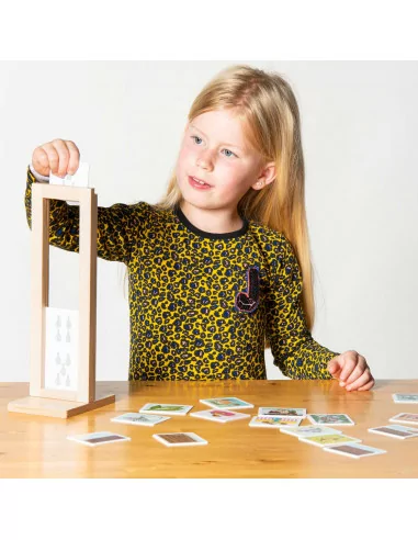 EDUCO - cykle życia - zestaw