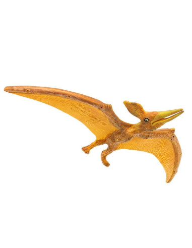 Pteranodon