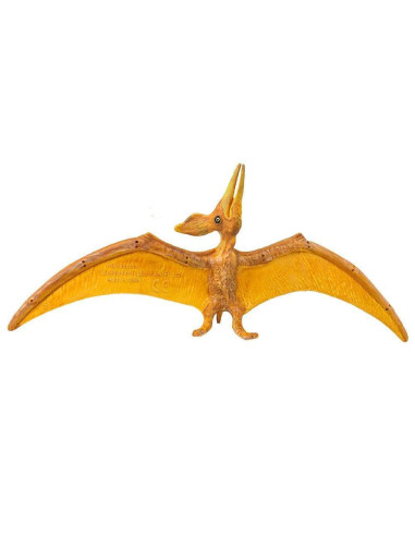 Pteranodon