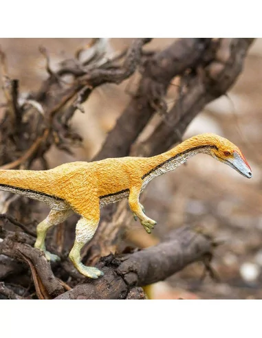Coelophysis
