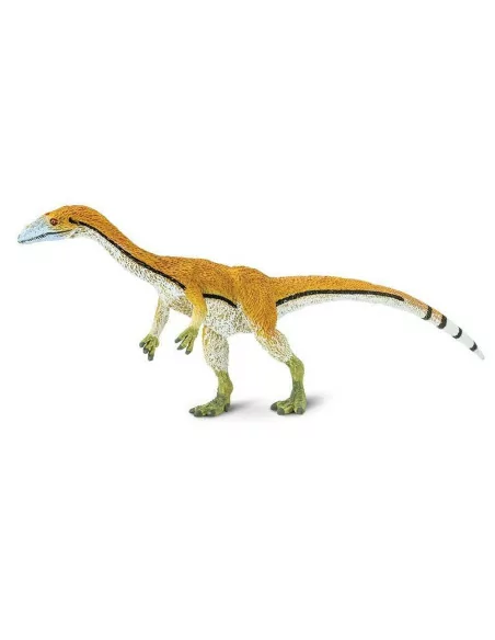Coelophysis