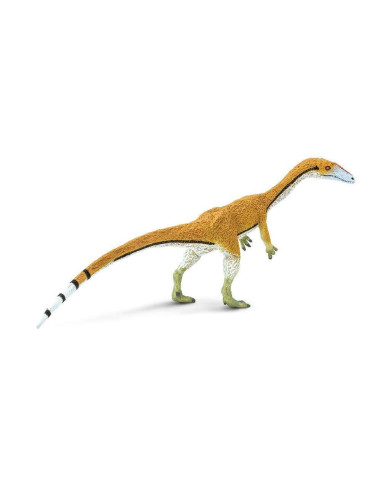 Coelophysis