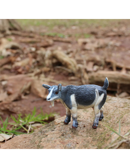 Koza miniaturka