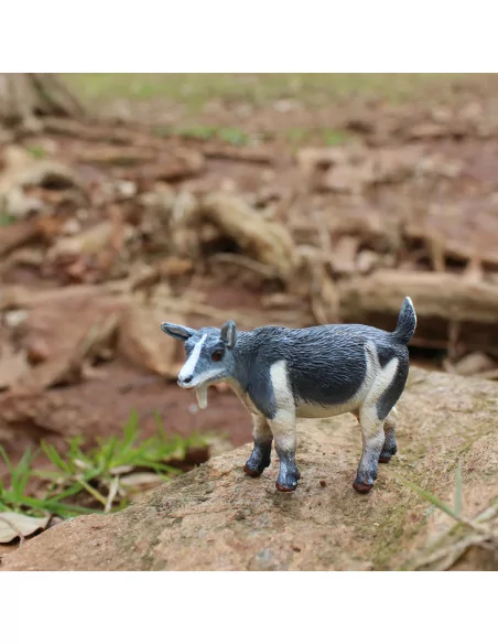 Koza miniaturka