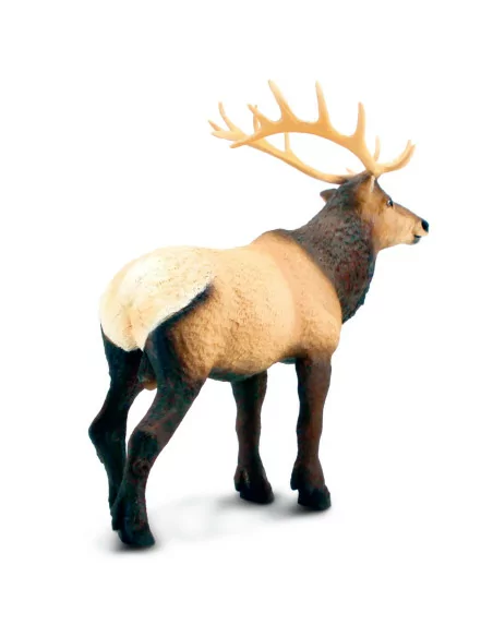 Wapiti