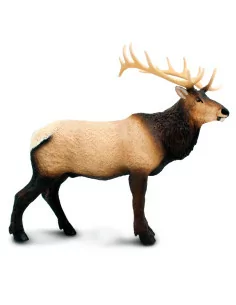 Wapiti