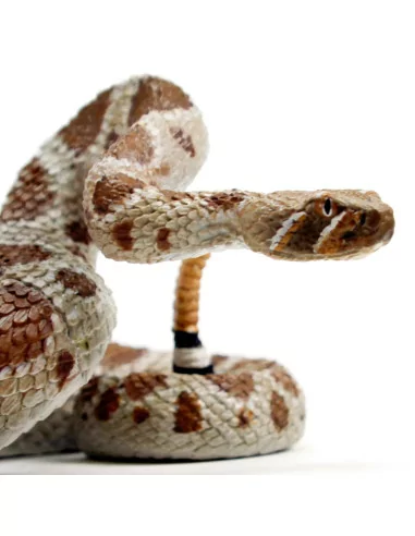 Chřestýš západní